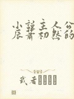 小说主人公叫叶辰萧初然的小说名