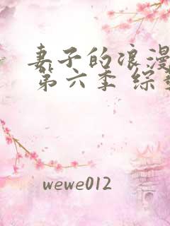 妻子的浪漫旅行 第六季 综艺