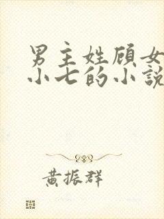 男主姓顾女主叫小七的小说