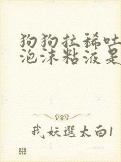 狗狗拉稀吐黄色泡沫粘液是什么原因