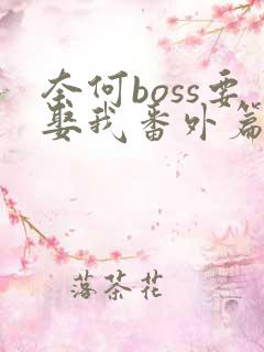 奈何boss要娶我番外篇
