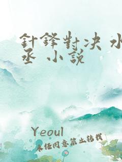 针锋对决 水千丞 小说