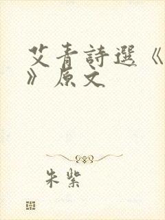 艾青诗选《礁石》原文