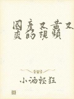 国产又黄又粗又爽的视频