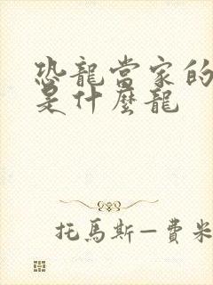 恐龙当家的恐龙是什么龙