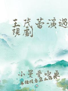 王茂蕾演过的电视剧