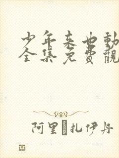 少年来也动画片全集免费观看