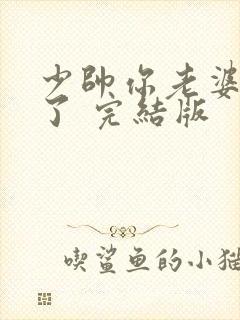 少帅你老婆又跑了 完结版