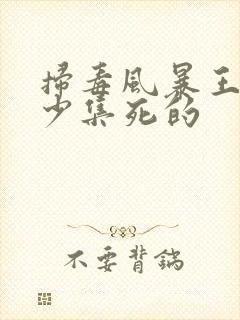 扫毒风暴王林多少集死的