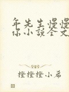 年先生慢慢喜欢你小说全文免费阅读