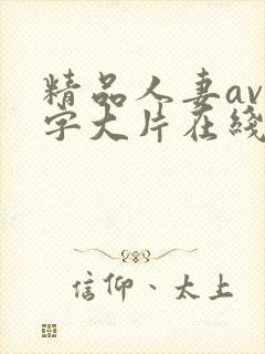 精品人妻av中字大片在线