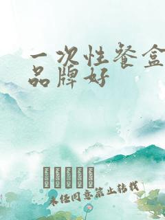 一次性餐盒哪个品牌好