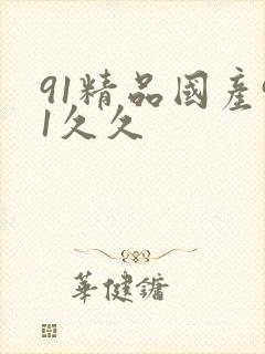 91精品国产91久久