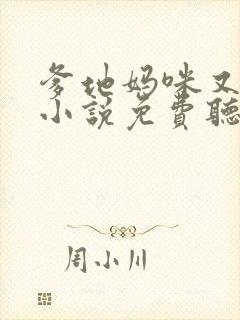 爹地妈咪又跑了小说免费听书