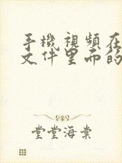 手机视频在那个文件里面的文件夹