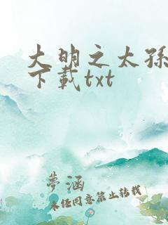 大明之太孙无敌下载txt