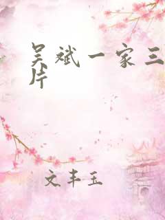 吴斌一家三口照片