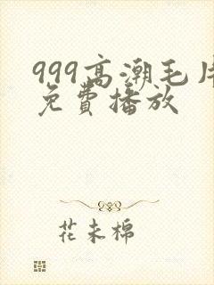 999高潮毛片免费播放