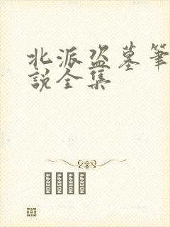 北派盗墓笔记小说全集