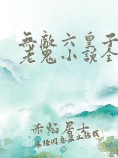 无敌六皇子梁山老鬼小说全篇