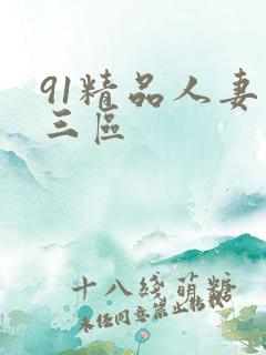 91精品人妻二三区