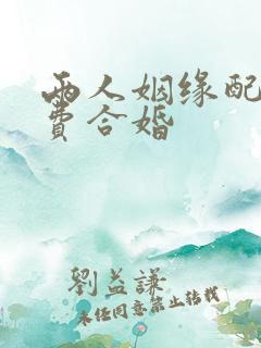 两人姻缘配对免费合婚