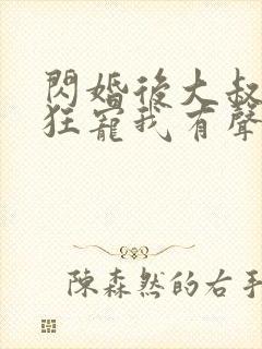 闪婚后大叔每天狂宠我有声小说