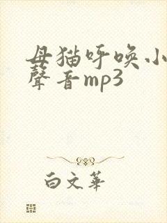 母猫呼唤小猫的声音mp3