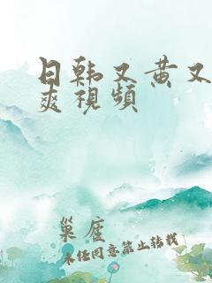 日韩又黄又色又爽视频