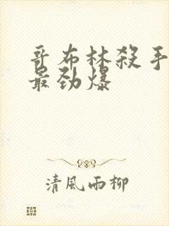 哥布林杀手哪集最劲爆