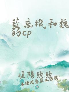 蓝忘机和魏无羡的cp