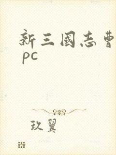 新三国志曹操传 pc