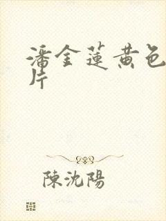 潘金莲黄色特级片