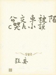 公交车被陌生人c哭h小说