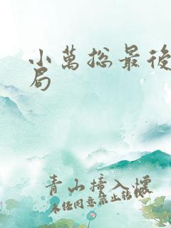 小万总最后的结局