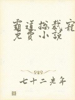 霸道总裁宠上天免费小说