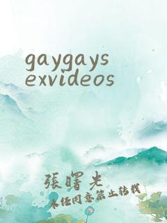 gaygaysexvideos