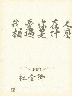 我爱你在人海中相遇是什么歌