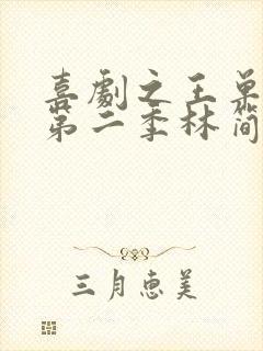 喜剧之王单口季第二季林简七