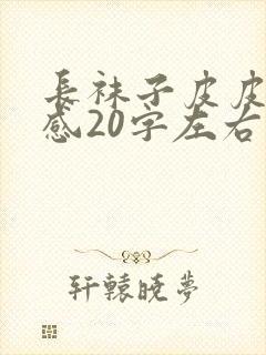 长袜子皮皮读后感20字左右