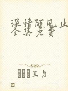 深情随风止短剧全集免费