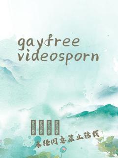 gayfreevideosporn