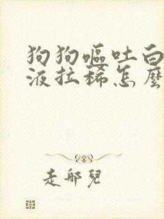 狗狗呕吐白色粘液拉稀怎么办