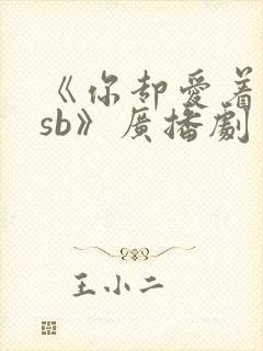 《你却爱着一个sb》广播剧