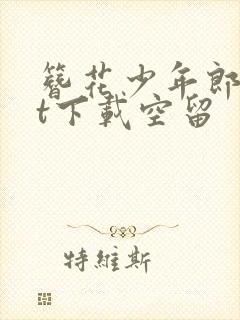 簪花少年郎txt下载空留