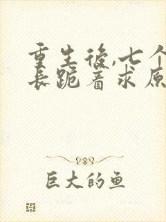 重生后,七个兄长跪着求原谅免费阅读全