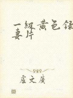 一级黄色录像夫妻片