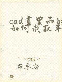 cad画里面时如何截取平面图