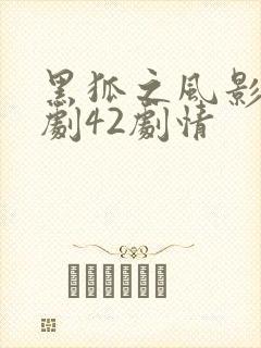 黑狐之风影电视剧42剧情