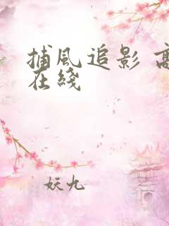 捕风追影 高清在线